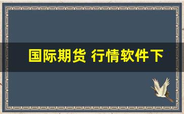 国际期货 行情软件下载(国际期货行情中心)_https://www.gfdzclz.com_北交所_第1张